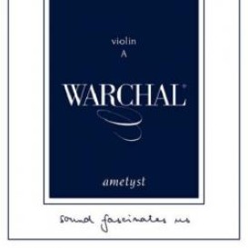 Strings for violin Ametyst Warchal