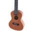 Manoa concert ukulele with case VG511160 VGS