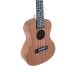 Manoa concert ukulele with case VG511160 VGS