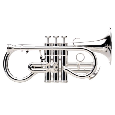 Cornet in E flat Sovereign BE924G Besson