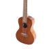 Concert ukulele Manoa Kaleo VG512180 with amplifier VGS