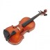 Violin set 3/4 AS190 Afred Stingl Hofner
