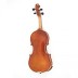 Violin set 1/2 AS190 Afred Stingl Hofner