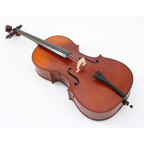 Cello set 4/4 with case and bow Outfit Hofner