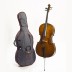 Cello set 1/2 Student II Stentor