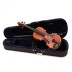 Violin set AS170 Afred Stingl Hofner