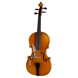 Viola 38cm PA702E R. Paesold