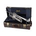 Trumpet 180 S37 Bach