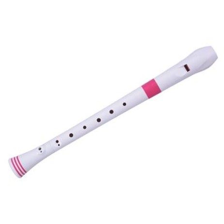 Recorder N310 pink Nuvo