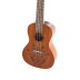 Concert ukulele Manoa Mexico with case VGS