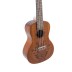 Concert ukulele Manoa Mexico with case VGS