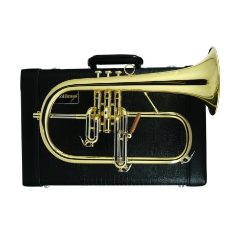 Fliugelhornas Bb profesionalus CFL-6000 Carol Brass