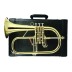 Fliugelhornas Bb profesionalus CFL-6200 Carol Brass