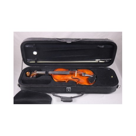 Violin Set 4/4 Outfit C Quality ALCALYA