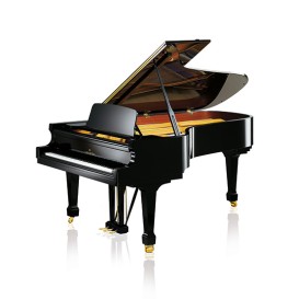 Koncertinis fortepijonas Academy A228 C.Bechstein